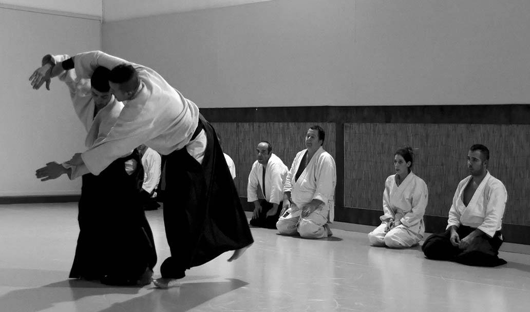 Taller de Aikido