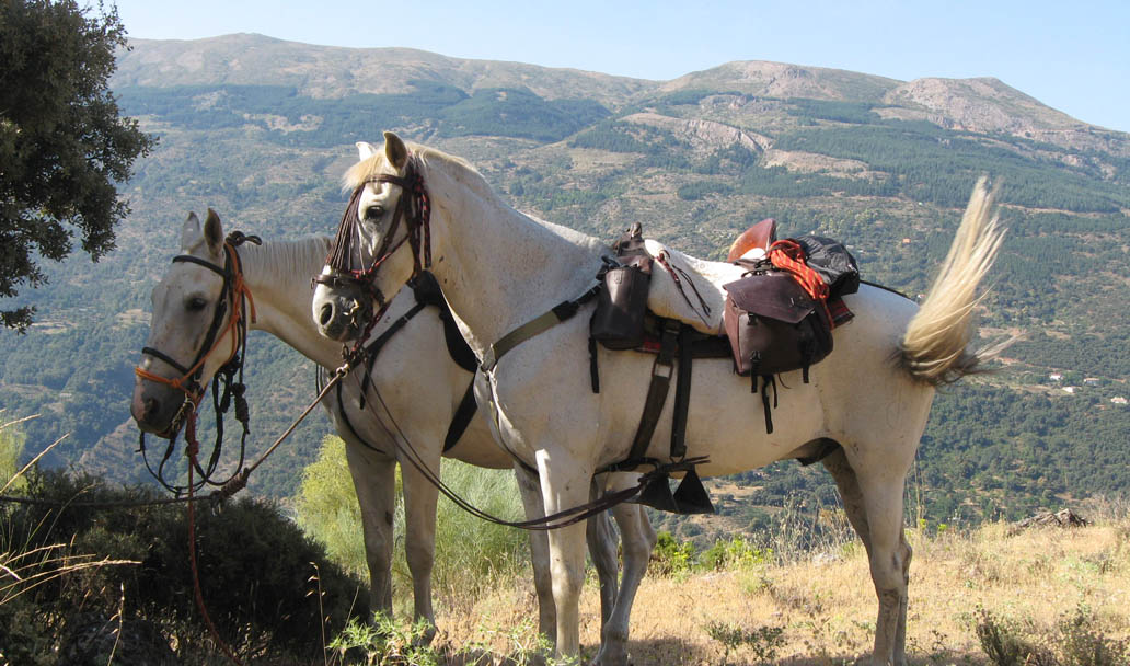 rutas a caballo 6