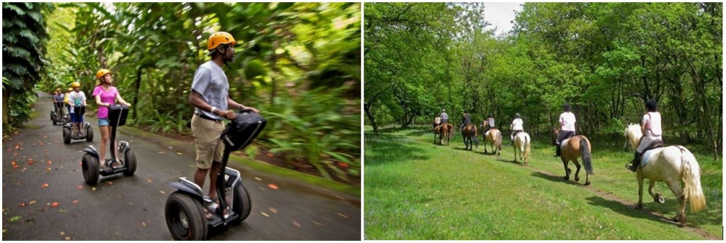 segway-piraguas-caballo